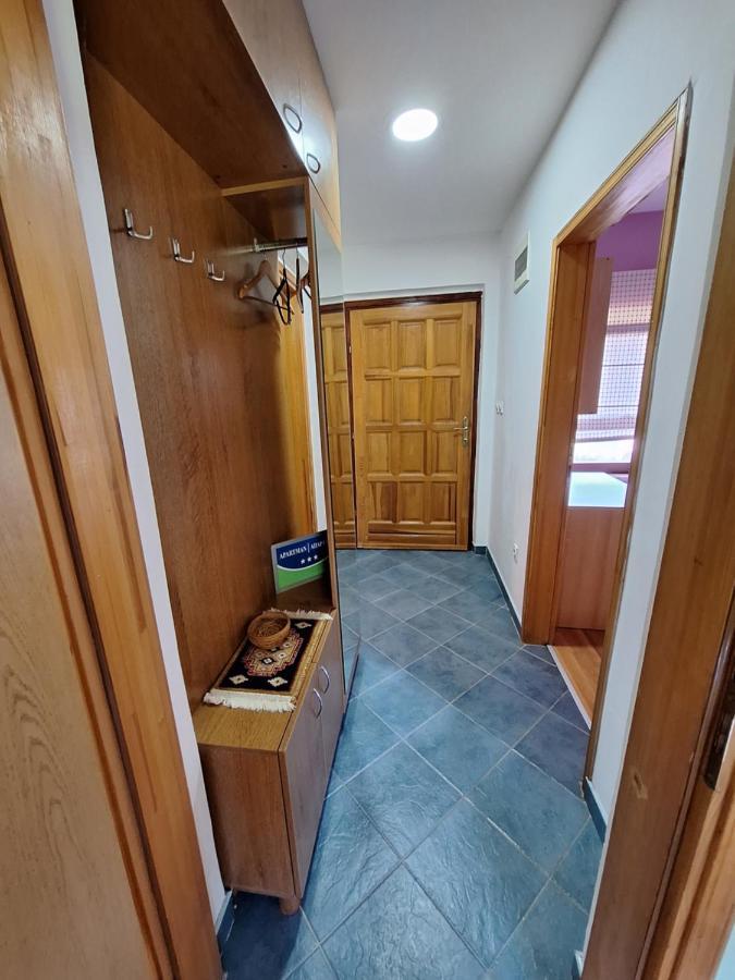 Apartman Sara Pale - Ski Centar Ravna Planina Exterior photo