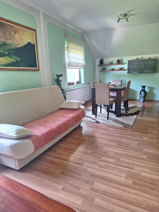 Apartman Sara Pale - Ski Centar Ravna Planina Exterior photo