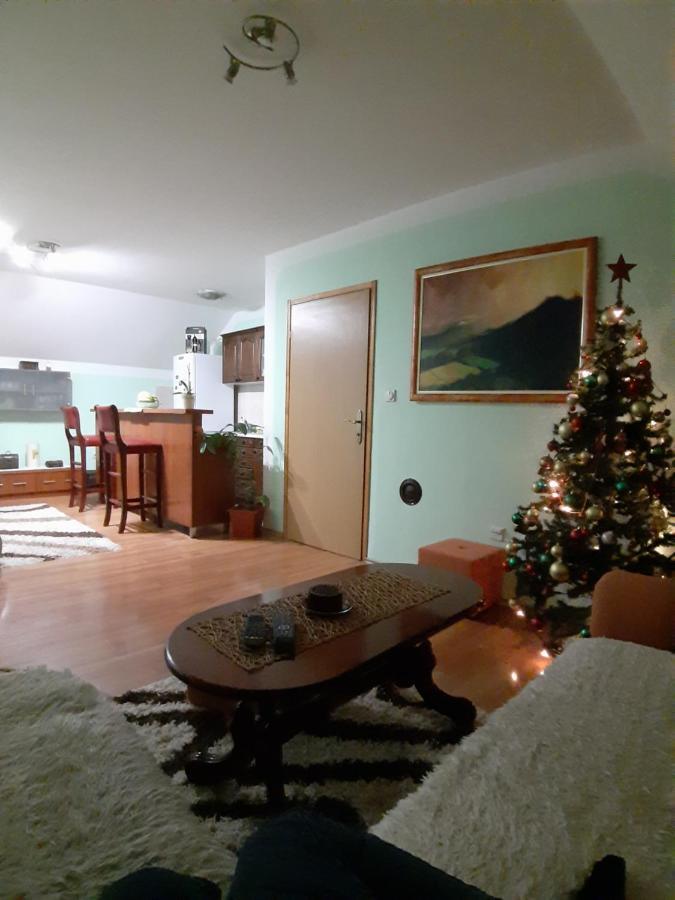 Apartman Sara Pale - Ski Centar Ravna Planina Exterior photo
